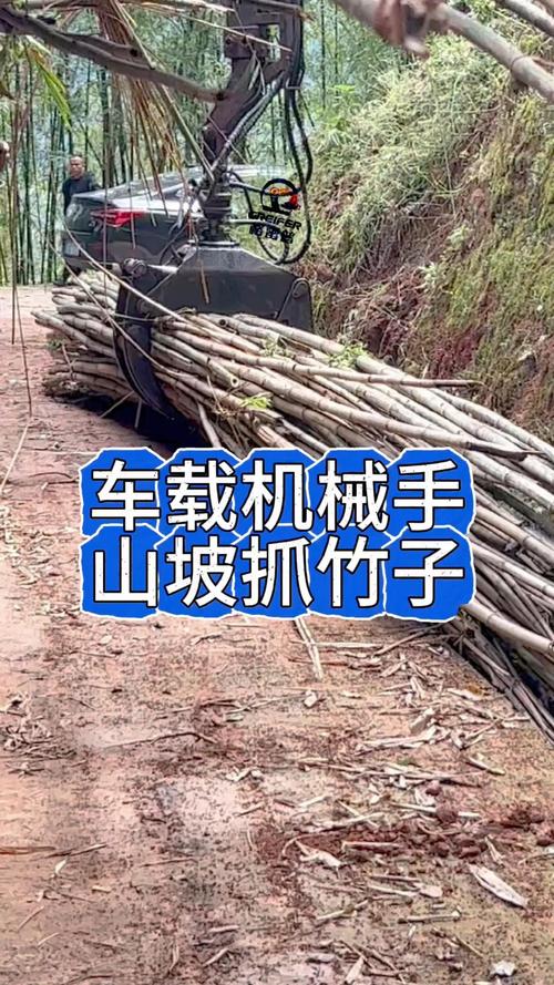 铁臂巧抓竹，上坡变坦途——货车加装机械手助力山区竹材运输提速